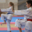 Подведены итоги Кубка Пскова по карате WKF - InformPskov.Ru