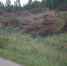 Фото: ПАИ - InformPskov.Ru