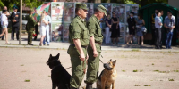 Фото здесь и далее из Telegram-канала Михаила Ведерникова - InformPskov.Ru