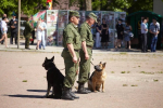 Псковский губернатор поздравил пограничников с профессиональным праздником