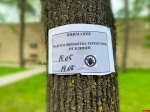Противоклещевые обработки территорий завершаются в Псковском районе
