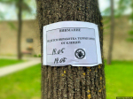 Фото здесь и далее: из телеграм-канала Натальи Фёдоровой