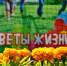 Фото: Telegram-канал Наталии Соколовой - InformPskov.Ru