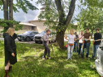 «Постепенное обновление»: жители двора у Варлаамовской башни высадили тсуги