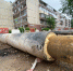 Фото из телеграм-канала Бориса Елкина - InformPskov.Ru