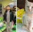Кошка, которую живодеры выстирали в стиральной машинке, обрела дом в семье псковичей - Комсомольская правда