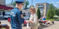 Специалистами УНДиПР в Острове был проведен профилактический   рейд - МЧС Псковской области