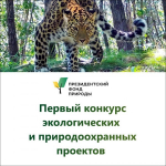 Экопроекты Псковской области прошли в финал конкурса Президентского фонда природы