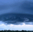 Фото: ПАИ - InformPskov.Ru