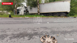 Фото: ПАИ