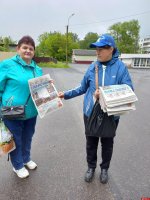 Единороссы начали подготовку к выборам в муниципалитетах Псковской области
