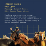 Стала известна программа «Панорамы» на кинофестивале «Западные ворота»