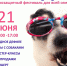 Семейный зоозащитный фестиваль «Коридор 2025» пройдет в Пскове 21 июня - Псковская правда