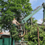 Фото здесь и далее: газета «Печорская правда» - InformPskov.Ru