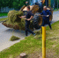 Фото здесь и далее из телеграм-канала Бориса Елкина - InformPskov.Ru