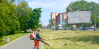 Темпы покоса наращивают в Пскове - Pln-Pskov.Ru