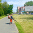 Темпы покоса наращивают в Пскове - Pln-Pskov.Ru