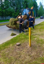 Темпы покоса наращивают в Пскове