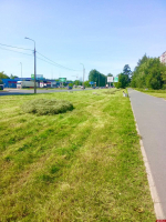 Темпы покоса наращивают в Пскове
