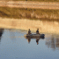 Фото: ПАИ - InformPskov.Ru
