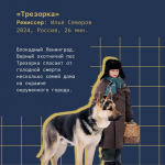 Программа «До 16 и старше»
