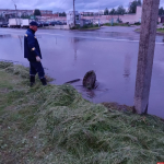 Горводоканал продолжает работы по ликвидации подтоплений улиц Пскова