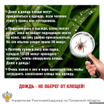 Фото: Управление Роспотребнадзора по Псковской области