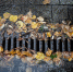 Фото: ПАИ - InformPskov.Ru