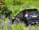 Два человека погибли при столкновении автомобилей в Куньинском районе