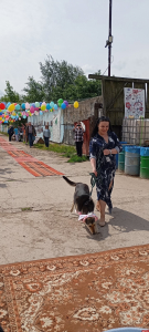 Более 400 участников собрал псковский зоозащитный фестиваль «Коридор»