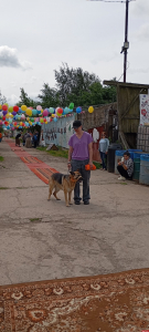 Более 400 участников собрал псковский зоозащитный фестиваль «Коридор»