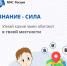 Правила поведения при встрече со змеей - МЧС Псковской области