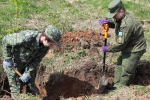 Скелетированные останки обнаружены в деревне Жидилов Бор Псковского района