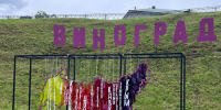 Ярмарка «Виноград» открылась в Пскове - InformPskov.Ru