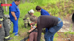 Автомобиль протаранил дерево в Печорском районе