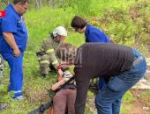 Автомобиль врезался в дерево в Печорском районе