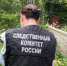 Проверка по факту гибели женщины от упавшего дерева проводится в Пскове - Псковская правда