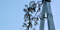 Последствия сильного ветра продолжают устранять в Псковском районе - Pln-Pskov.Ru