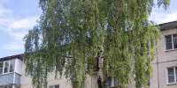 Новые окна, парковка на бывших землях Минобороны и планы ТОСов в округе №7 - Pln-Pskov.Ru