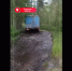 Свыше 2700 деревьев убрали энергетики с ЛЭП в Псковской области после шторма - Pln-Pskov.Ru