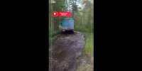 Свыше 2700 деревьев убрали энергетики с ЛЭП в Псковской области после шторма - Pln-Pskov.Ru