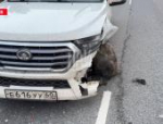 Водитель иномарки выехал на встречную полосу и протаранил автомобиль в Псковском округе