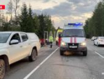Водитель иномарки выехал на встречную полосу и протаранил автомобиль в Псковском округе
