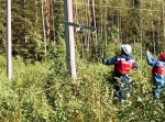 8920 километров ЛЭП восстановили энергетики в Псковской области
