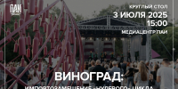 Изображение: ПАИ - InformPskov.Ru