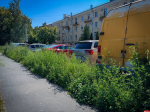 Интерактив: Сапожник без сапог