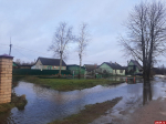 Такие Островичи Самостоятельные