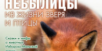 «Небылицы из жизни зверя и птицы» - InformPskov.Ru