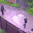 Полиция разыскивает подозреваемых в похищении телефона у несовершеннолетнего псковича - Pln-Pskov.Ru