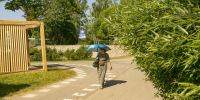 Фото: ПАИ - InformPskov.Ru